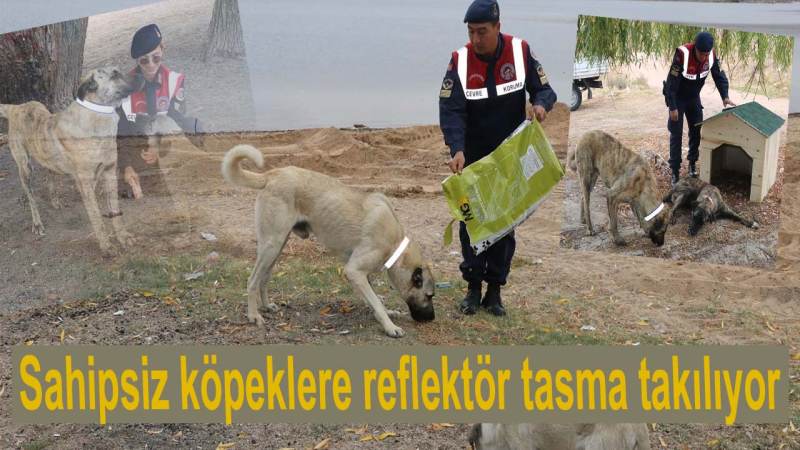 Kavga ettiği amcasını sokak ortasında tabancayla vurdu