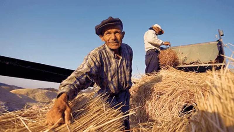 Kavga ettiği amcasını sokak ortasında tabancayla vurdu