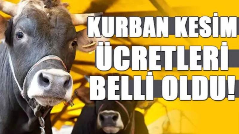 Kavga ettiği amcasını sokak ortasında tabancayla vurdu