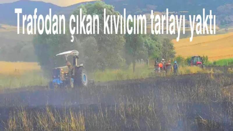 Kavga ettiği amcasını sokak ortasında tabancayla vurdu